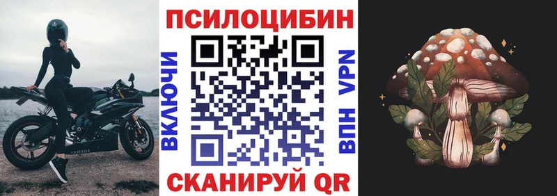Псилоцибиновые грибы Cubensis  как найти   Суздаль 